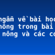 Suy ngẫm về bài học của lão nông trong bài thơ “Lão nông và các con”