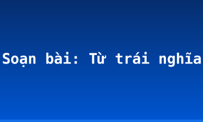 Soạn bài: Từ trái nghĩa