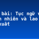 Soạn bài: Tục ngữ về thiên nhiên và lao động sản xuất