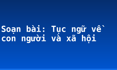 Soạn bài: Tục ngữ về con người và xã hội