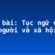 Soạn bài: Tục ngữ về con người và xã hội