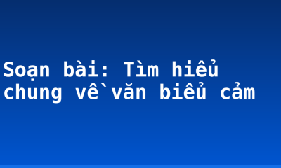 Soạn bài: Tìm hiểu chung về văn biểu cảm