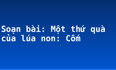 Soạn bài: Một thứ quà của lúa non: Cốm