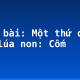 Soạn bài: Một thứ quà của lúa non: Cốm