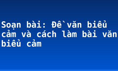 Soạn bài: Đề văn biểu cảm và cách làm bài văn biểu cảm