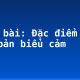 Soạn bài: Đặc điểm của văn bản biểu cảm