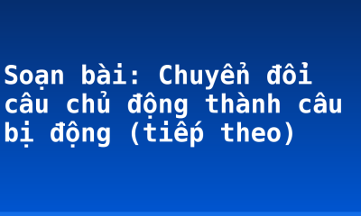 Soạn bài: Chuyển đổi câu chủ động thành câu bị động (tiếp theo)