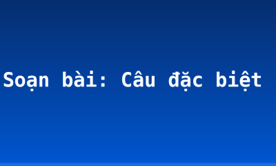 Soạn bài: Câu đặc biệt