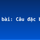 Soạn bài: Câu đặc biệt