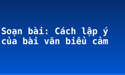 Soạn bài: Cách lập ý của bài văn biểu cảm