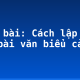 Soạn bài: Cách lập ý của bài văn biểu cảm
