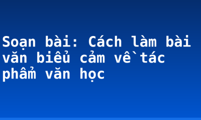Soạn bài: Cách làm bài văn biểu cảm về tác phẩm văn học