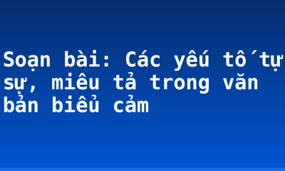 Soạn bài: Các yếu tố tự sự, miêu tả trong văn bản biểu cảm