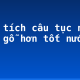 Phân tích câu tục ngữ “Tốt gỗ hơn tốt nước sơn”