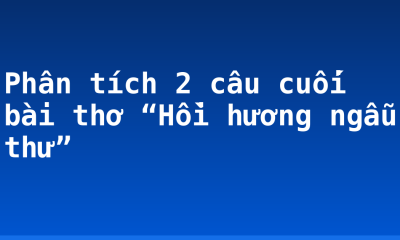 Phân tích 2 câu cuối bài thơ “Hồi hương ngẫu thư”