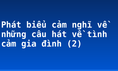Phát biểu cảm nghĩ về những câu hát về tình cảm gia đình (2)