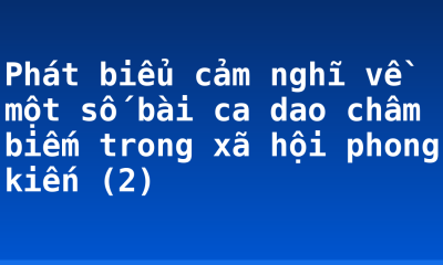 Phát biểu cảm nghĩ về một số bài ca dao châm biếm trong xã hội phong kiến (2)