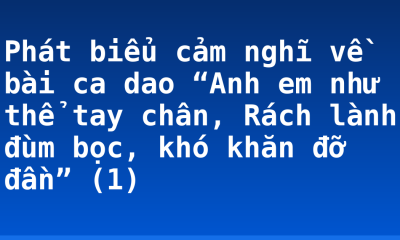 Phát biểu cảm nghĩ về bài ca dao “Anh em như thể tay chân, Rách lành đùm bọc, khó khăn đỡ đần” (1)