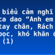 Phát biểu cảm nghĩ về bài ca dao “Anh em như thể tay chân, Rách lành đùm bọc, khó khăn đỡ đần” (1)