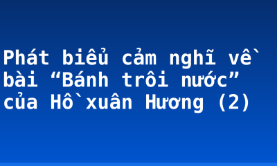 Phát biểu cảm nghĩ về bài “Bánh trôi nước” của Hồ xuân Hương (2)