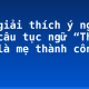 Hãy giải thích ý nghĩa của câu tục ngữ “Thất bại là mẹ thành công” (4)