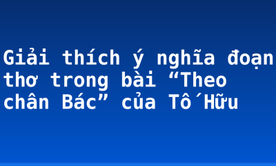 Giải thích ý nghĩa đoạn thơ trong bài “Theo chân Bác” của Tố Hữu