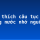 Giải thích câu tục ngữ “Uống nước nhớ nguồn”