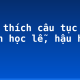 Giải thích câu tục ngữ “Tiên học lễ, hậu học văn”