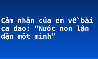 Cảm nhận của em về bài ca dao: “Nước non lận đận một mình”