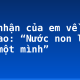 Cảm nhận của em về bài ca dao: “Nước non lận đận một mình”