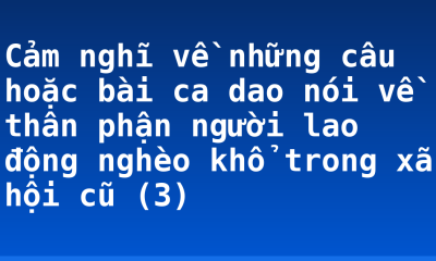 Cảm nghĩ về những câu hoặc bài ca dao nói về thân phận người lao động nghèo khổ trong xã hội cũ (3)