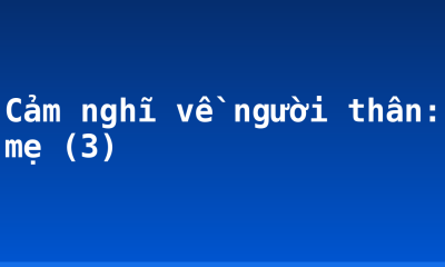 Cảm nghĩ về người thân: mẹ (3)