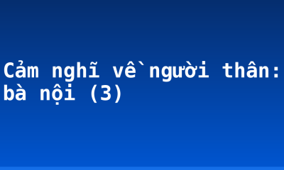 Cảm nghĩ về người thân: bà nội (3)