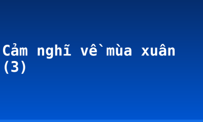 Cảm nghĩ về mùa xuân (3)