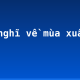 Cảm nghĩ về mùa xuân (2)