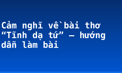 Cảm nghĩ về bài thơ “Tĩnh dạ tứ” – hướng dẫn làm bài