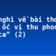 Cảm nghĩ về bài thơ “Mao ốc vị thu phong sở phá ca” (2)