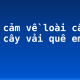 Biểu cảm về loài cây em yêu: cây vải quê em (3)