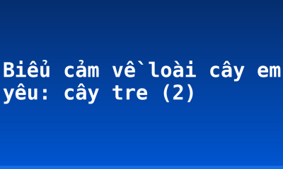 Biểu cảm về loài cây em yêu: cây tre (2)