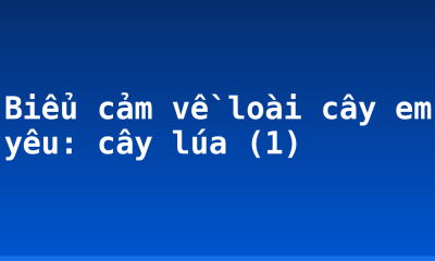 Biểu cảm về loài cây em yêu: cây lúa (1)