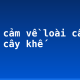 Biểu cảm về loài cây em yêu: cây khế