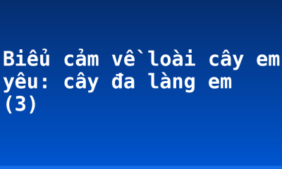 Biểu cảm về loài cây em yêu: cây đa làng em (3)