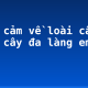 Biểu cảm về loài cây em yêu: cây đa làng em (2)