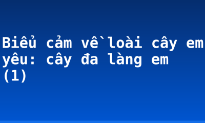 Biểu cảm về loài cây em yêu: cây đa làng em (1)