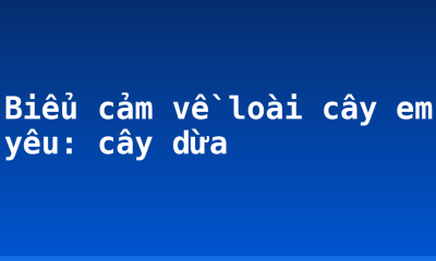 Biểu cảm về loài cây em yêu: cây dừa