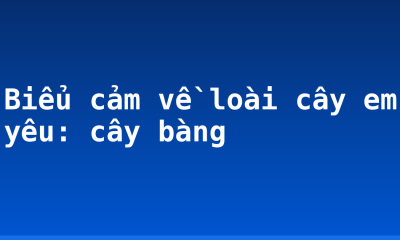 Biểu cảm về loài cây em yêu: cây bàng