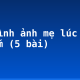 Tả hình ảnh mẹ lúc em bị ốm (5 bài)
