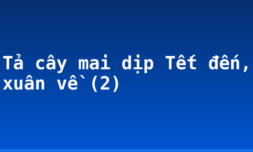 Tả cây mai dịp Tết đến, xuân về (2)