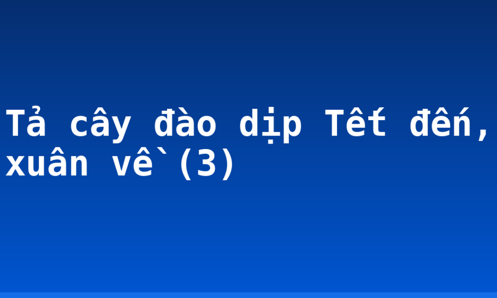 Tả cây đào dịp Tết đến, xuân về (3)