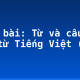 Soạn bài: Từ và cấu tạo của từ Tiếng Việt (2)
